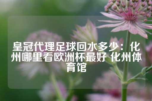 皇冠代理足球回水多少：化州哪里看欧洲杯最好 化州体育馆