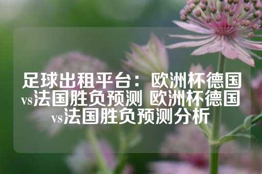 足球出租平台：欧洲杯德国vs法国胜负预测 欧洲杯德国vs法国胜负预测分析