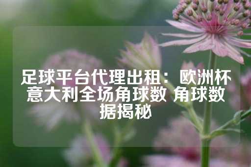 足球平台代理出租：欧洲杯意大利全场角球数 角球数据揭秘