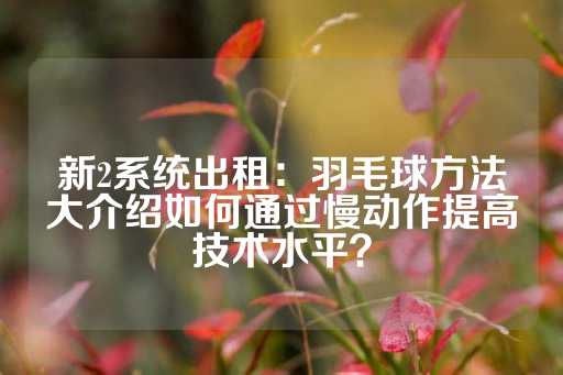 新2系统出租：羽毛球方法大介绍如何通过慢动作提高技术水平？