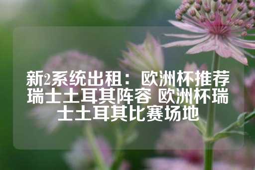 新2系统出租：欧洲杯推荐瑞士土耳其阵容 欧洲杯瑞士土耳其比赛场地