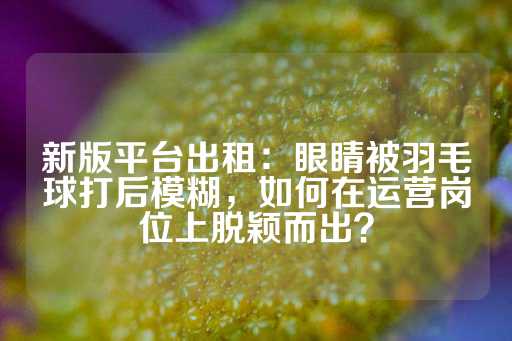 新版平台出租：眼睛被羽毛球打后模糊，如何在运营岗位上脱颖而出？-第1张图片-皇冠信用盘出租