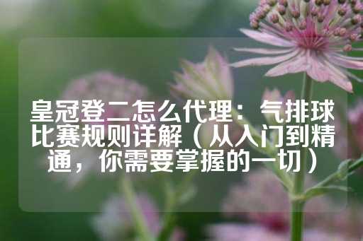 皇冠登二怎么代理：气排球比赛规则详解（从入门到精通，你需要掌握的一切）-第1张图片-皇冠信用盘出租