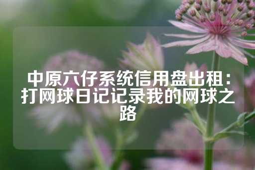 中原六仔系统信用盘出租：打网球日记记录我的网球之路