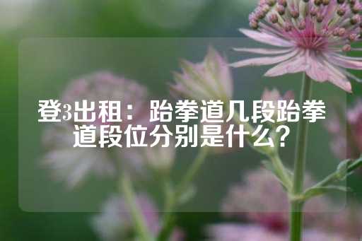 登3出租：跆拳道几段跆拳道段位分别是什么？