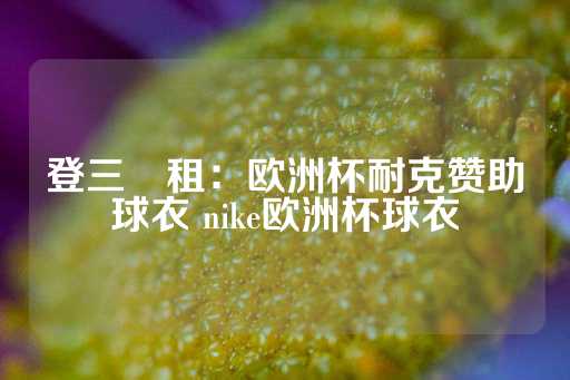 登三岀租：欧洲杯耐克赞助球衣 nike欧洲杯球衣