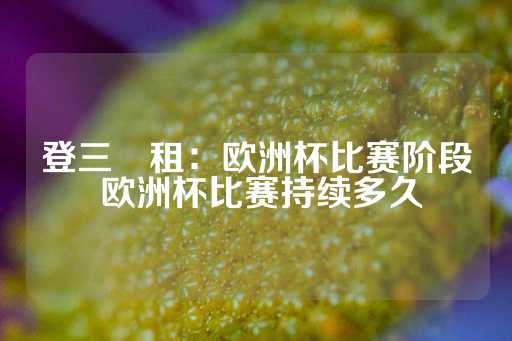 登三岀租：欧洲杯比赛阶段 欧洲杯比赛持续多久