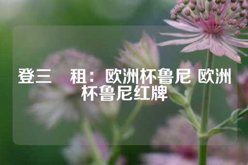 登三岀租：欧洲杯鲁尼 欧洲杯鲁尼红牌-第1张图片-皇冠信用盘出租