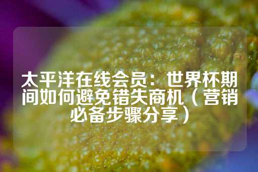 太平洋在线会员：世界杯期间如何避免错失商机（营销必备步骤分享）