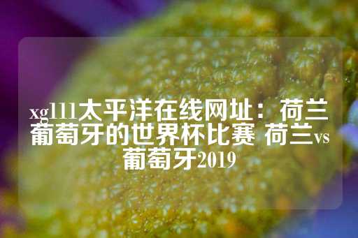 xg111太平洋在线网址：荷兰葡萄牙的世界杯比赛 荷兰vs葡萄牙2019