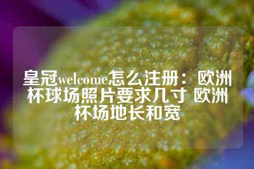 皇冠welcome怎么注册：欧洲杯球场照片要求几寸 欧洲杯场地长和宽