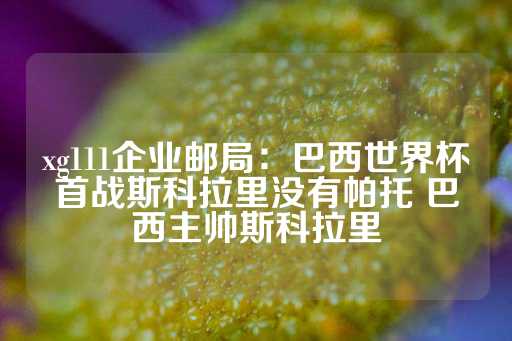 xg111企业邮局：巴西世界杯首战斯科拉里没有帕托 巴西主帅斯科拉里