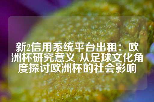 新2信用系统平台出租：欧洲杯研究意义 从足球文化角度探讨欧洲杯的社会影响