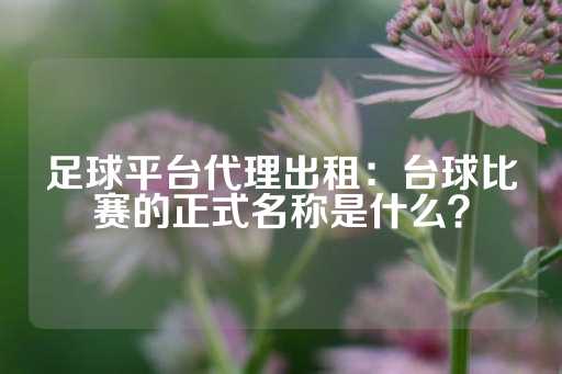 足球平台代理出租：台球比赛的正式名称是什么？-第1张图片-皇冠信用盘出租