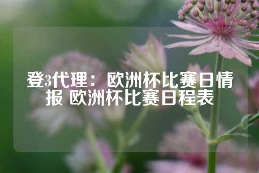 登3代理：欧洲杯比赛日情报 欧洲杯比赛日程表