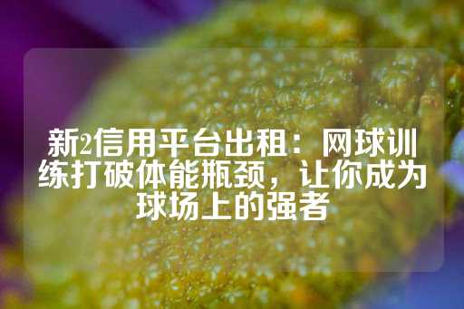 新2信用平台出租：网球训练打破体能瓶颈，让你成为球场上的强者