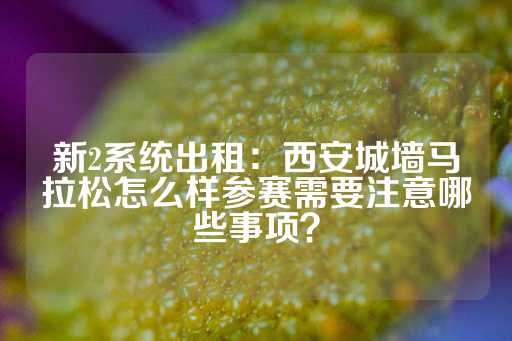 新2系统出租：西安城墙马拉松怎么样参赛需要注意哪些事项？