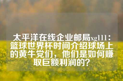 太平洋在线企业邮局xg111：篮球世界杯时间介绍球场上的黄牛党们，他们是如何赚取巨额利润的？