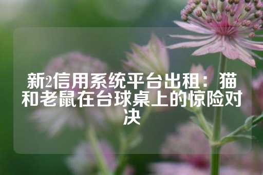 新2信用系统平台出租：猫和老鼠在台球桌上的惊险对决