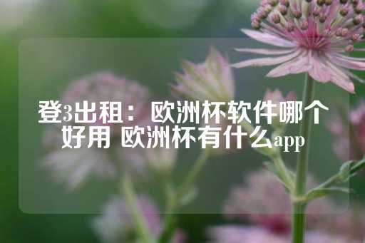 登3出租：欧洲杯软件哪个好用 欧洲杯有什么app