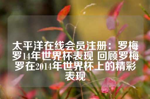 太平洋在线会员注册：罗梅罗14年世界杯表现 回顾罗梅罗在2014年世界杯上的精彩表现