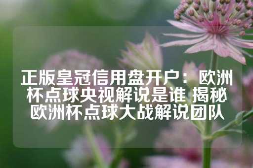 正版皇冠信用盘开户：欧洲杯点球央视解说是谁 揭秘欧洲杯点球大战解说团队-第1张图片-皇冠信用盘出租