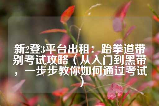 新2登3平台出租：跆拳道带别考试攻略（从入门到黑带，一步步教你如何通过考试）