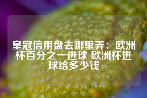 皇冠信用盘去哪里弄：欧洲杯百分之一进球 欧洲杯进球给多少钱