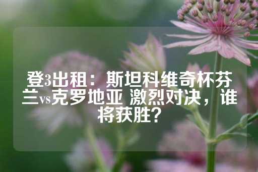 登3出租：斯坦科维奇杯芬兰vs克罗地亚 激烈对决，谁将获胜？-第1张图片-皇冠信用盘出租