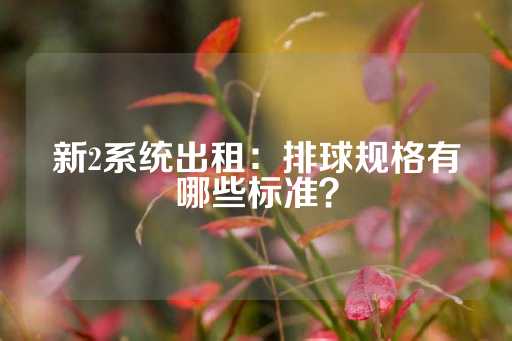 新2系统出租：排球规格有哪些标准？