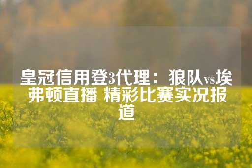 皇冠信用登3代理：狼队vs埃弗顿直播 精彩比赛实况报道