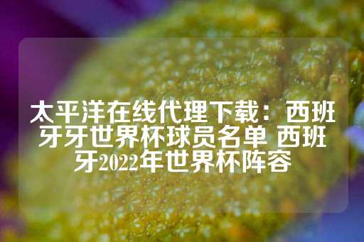 太平洋在线代理下载：西班牙牙世界杯球员名单 西班牙2022年世界杯阵容