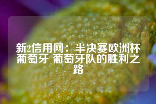 新2信用网：半决赛欧洲杯葡萄牙 葡萄牙队的胜利之路-第1张图片-皇冠信用盘出租