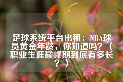 足球系统平台出租：NBA球员黄金年龄，你知道吗？（职业生涯巅峰期到底有多长？）