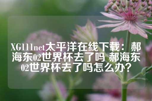 XG111net太平洋在线下载：郝海东02世界杯去了吗 郝海东02世界杯去了吗怎么办？-第1张图片-皇冠信用盘出租