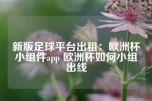 新版足球平台出租：欧洲杯小组件app 欧洲杯如何小组出线