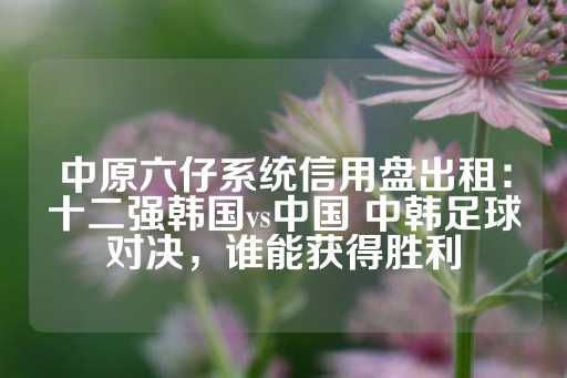 中原六仔系统信用盘出租：十二强韩国vs中国 中韩足球对决，谁能获得胜利