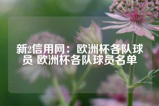 新2信用网：欧洲杯各队球员 欧洲杯各队球员名单