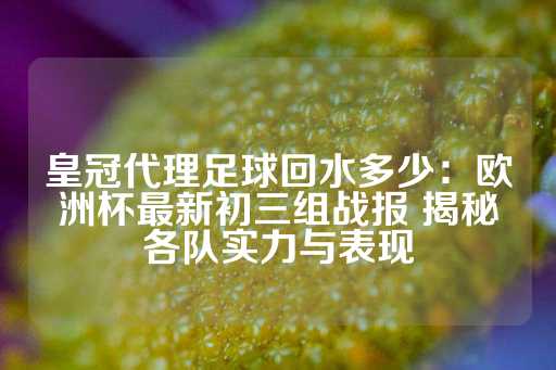 皇冠代理足球回水多少：欧洲杯最新初三组战报 揭秘各队实力与表现-第1张图片-皇冠信用盘出租