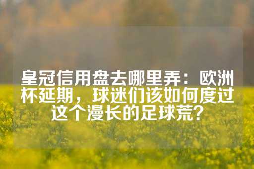 皇冠信用盘去哪里弄：欧洲杯延期，球迷们该如何度过这个漫长的足球荒？