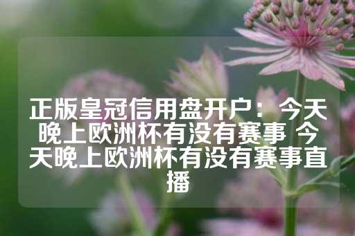 正版皇冠信用盘开户：今天晚上欧洲杯有没有赛事 今天晚上欧洲杯有没有赛事直播-第1张图片-皇冠信用盘出租