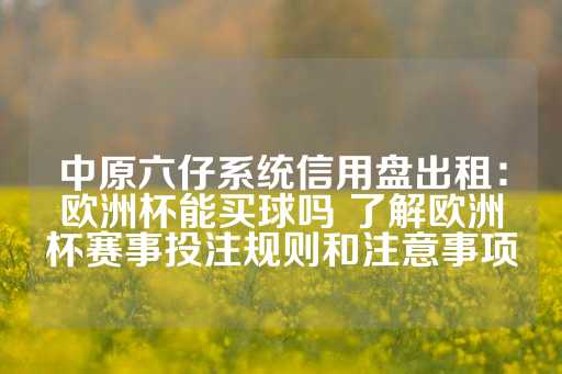 中原六仔系统信用盘出租：欧洲杯能买球吗 了解欧洲杯赛事投注规则和注意事项