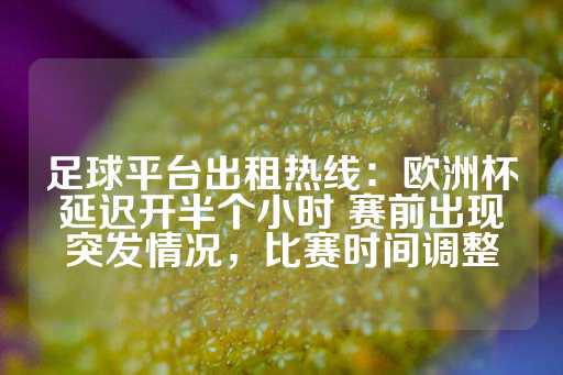 足球平台出租热线：欧洲杯延迟开半个小时 赛前出现突发情况，比赛时间调整