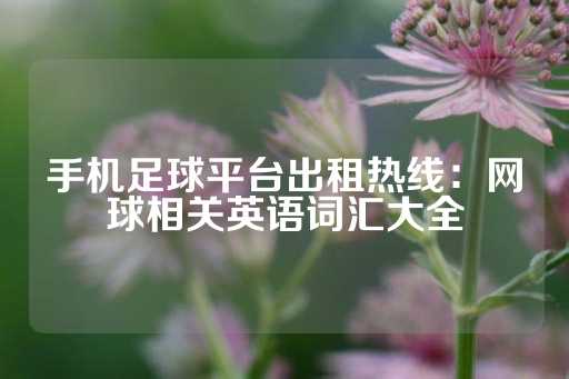 手机足球平台出租热线：网球相关英语词汇大全