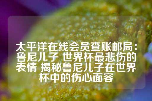 太平洋在线会员查账邮局：鲁尼儿子 世界杯最悲伤的表情 揭秘鲁尼儿子在世界杯中的伤心面容