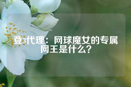 登3代理：网球魔女的专属网王是什么？