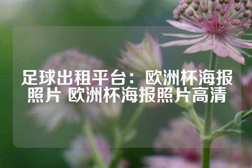 足球出租平台：欧洲杯海报照片 欧洲杯海报照片高清