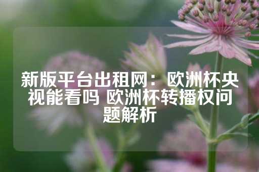 新版平台出租网：欧洲杯央视能看吗 欧洲杯转播权问题解析