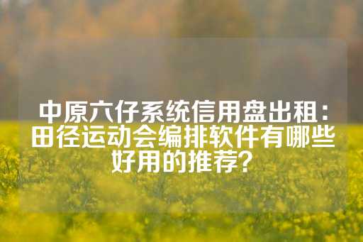 中原六仔系统信用盘出租：田径运动会编排软件有哪些好用的推荐？