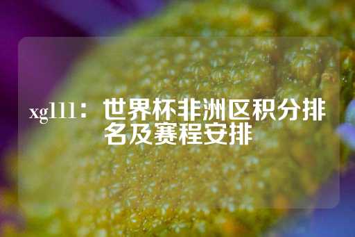 xg111：世界杯非洲区积分排名及赛程安排